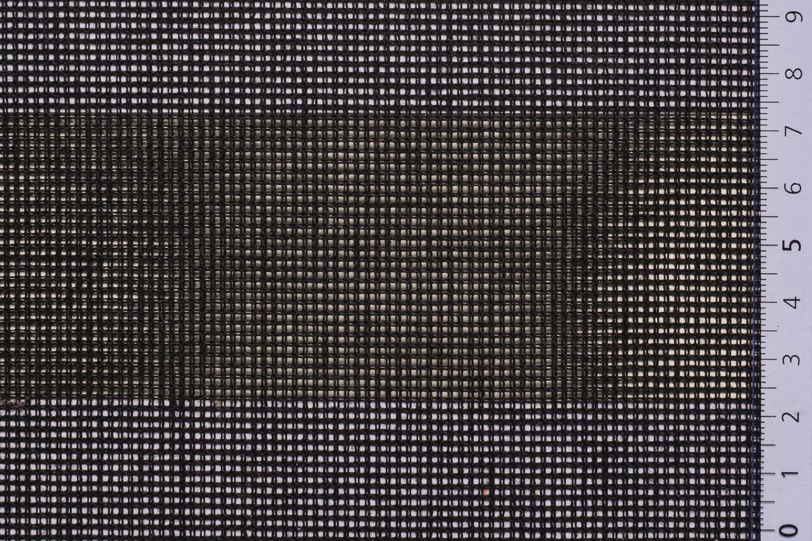 01CAN54BLAxxxCOT[CANVAS 54 No8](BLACK)F